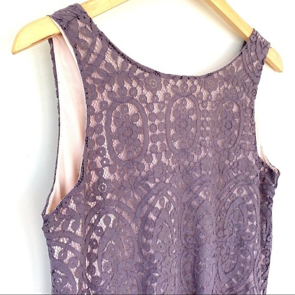 Pinkblush lace midi  dress with crew neck and v-back - Picture 3 of 11